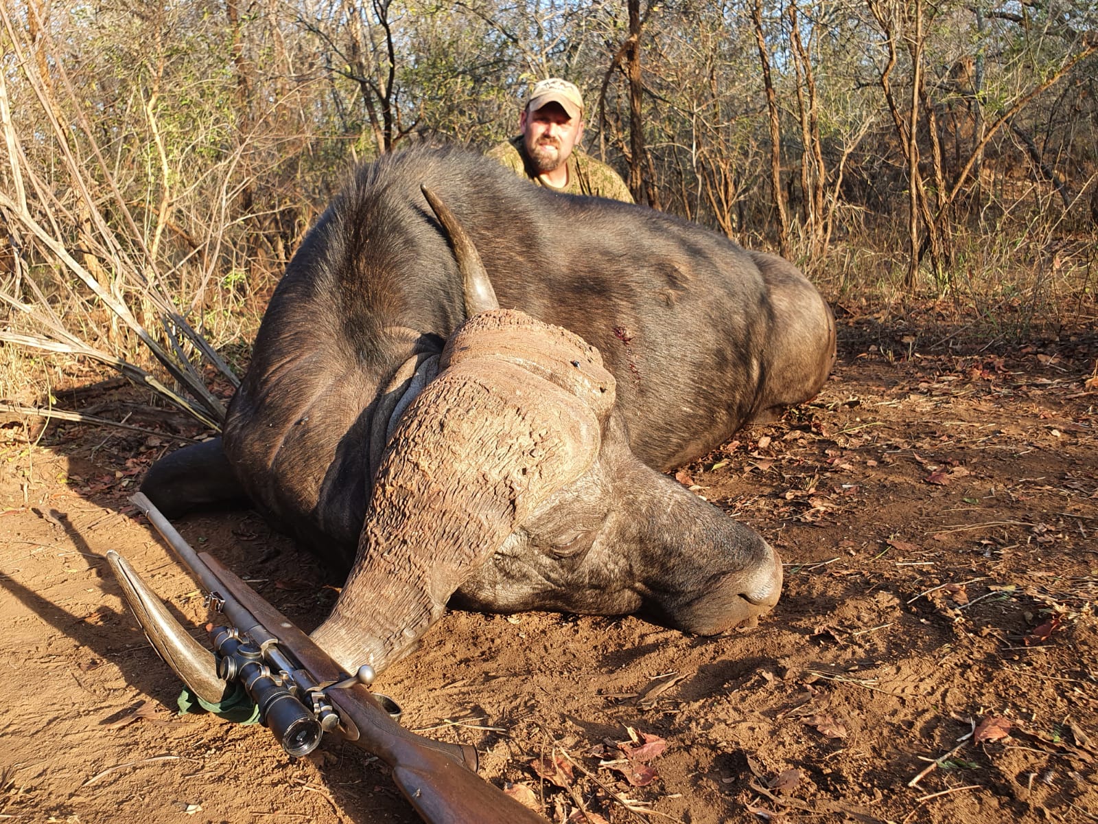 Zimbabwe Cape Buffalo Safari in The Chiredzi River Conservancy in